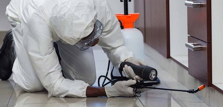 soft services | Radiant Facilities